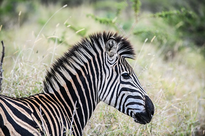 South Africa
